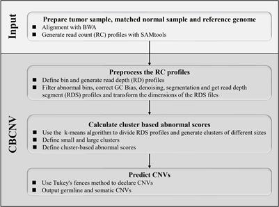 A Cluster-Based Approach for the Discovery of Copy Number Variations From Next-Generation Sequencing Data